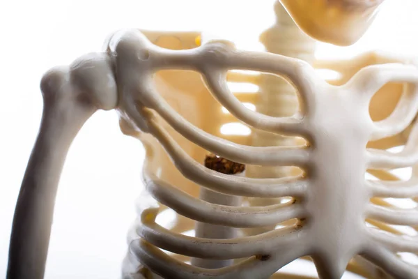 Tiro Foco Seletivo Esqueleto Humano Com Tabaco Dentro Parar Fumar — Fotografia de Stock