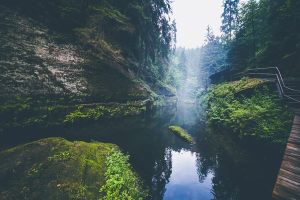Uma Paisagem Florestal Kamnitz Gorge República Checa — Fotografia de Stock