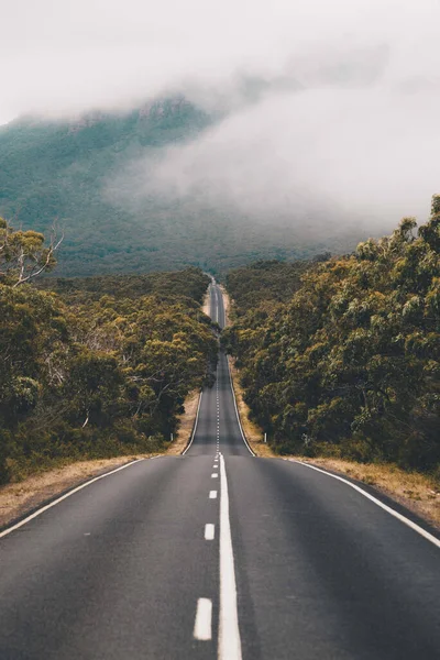 Eine Vertikale Aufnahme Einer Asphaltstraße Durch Bewaldete Berge Einem Nebligen — Stockfoto