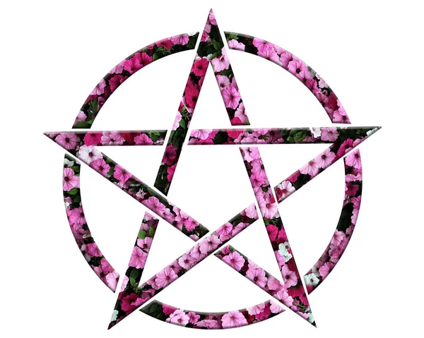 Ilustrace Květinové Růže Sedmikráska Flóra Pentagram Hvězda Třpyt Symbol — Stock fotografie