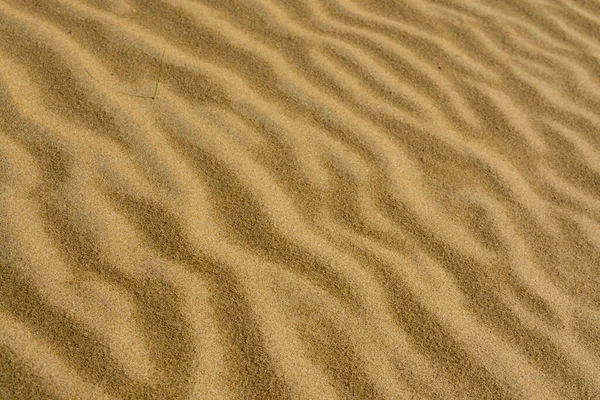 Hermoso Tiro Las Dunas Arena — Foto de Stock