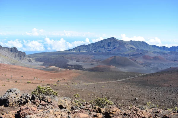 Ett Naturskönt Landskap Massiv Sköldvulkan Vid Haleakala Nationalpark Maui — Stockfoto