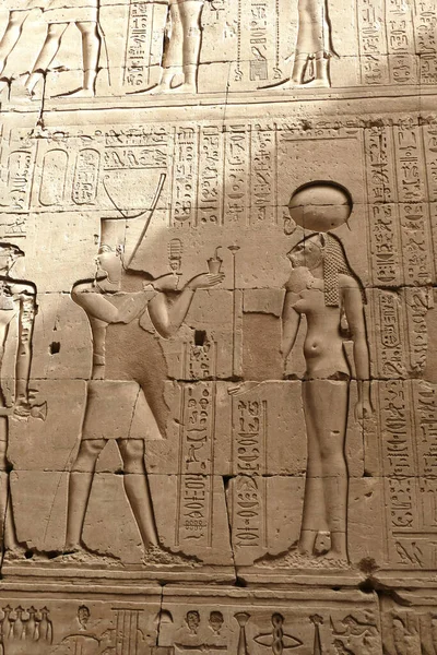 Vertikální Záběr Egyptských Bohů Hieroglyfů Vytesaných Stěně — Stock fotografie