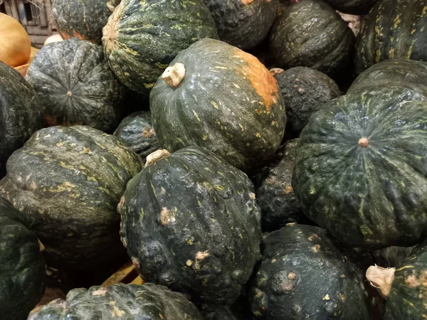 Plan Plein Cadre Délicieuses Citrouilles Courges Vert Foncé Mûres Sucrées — Photo