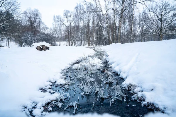 Nahaufnahme Eines Halb Zugefrorenen Flusses Durch Den Verschneiten Wald Einem — Stockfoto