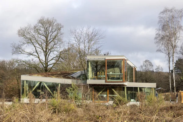 Rheden Niederlande 2020 Moorlandschaft Mit Winterkahlen Bäumen Und Pavillon Zeitgenössischer — Stockfoto