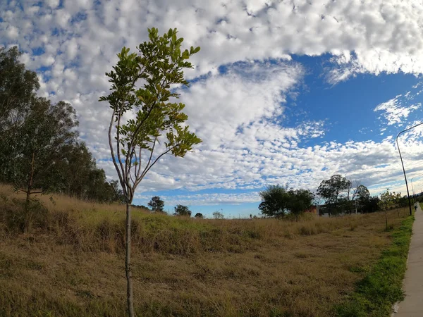 Een Prachtig Uitzicht Groen Onder Een Bewolkte Hemel Schofield New — Stockfoto