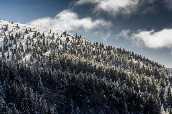 冬季法国奥弗涅火山地区自然公园 — 图库照片