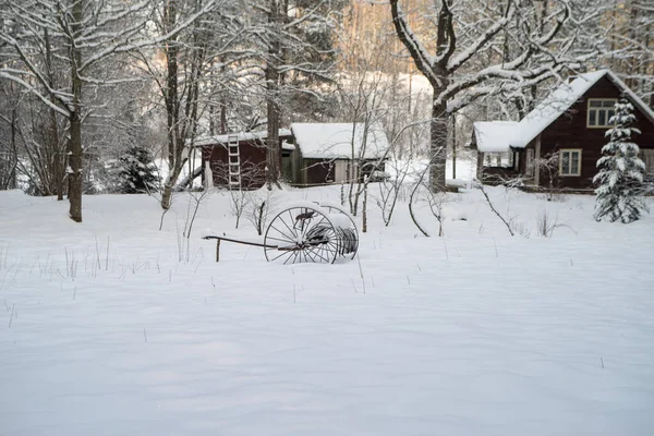 Hermoso Paisaje Invernal Con Acogedoras Casas Árboles Cubiertos Nieve — Foto de Stock