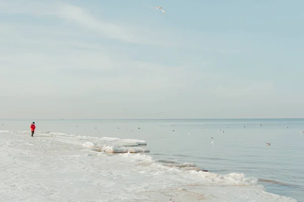 Ένα Χειμερινό Τοπίο Ενός Ατόμου Παλτό Περπάτημα Στη Θάλασσα Στην — Φωτογραφία Αρχείου