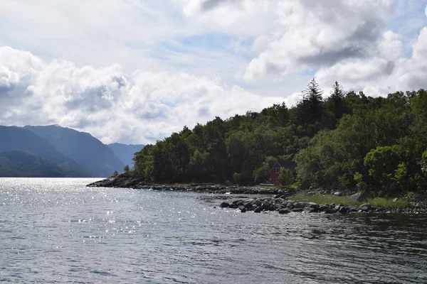 Piękne Ujęcie Drzew Wzgórzu Niedaleko Jeziora Pod Jasnym Niebem Norwegii — Zdjęcie stockowe