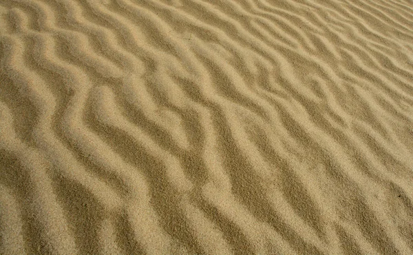 Uma Bela Foto Das Dunas Areia — Fotografia de Stock