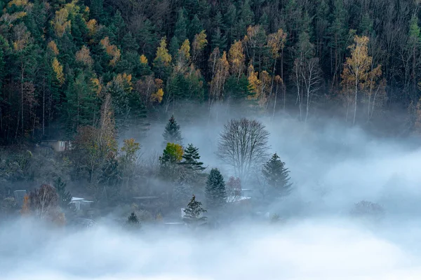 Tätt Beskogad Backe Med Liten Lantlig Hous Insvept Tät Dimma — Stockfoto