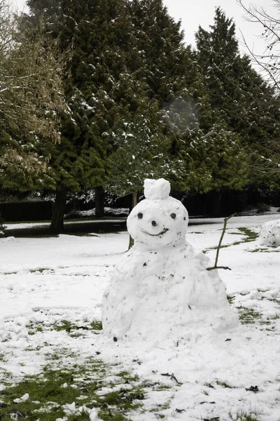 Een Verticaal Schot Van Een Sneeuwpop Een Besneeuwd Veld Met — Stockfoto