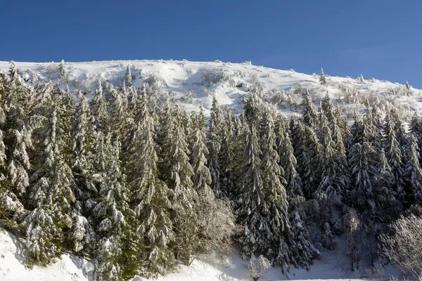 冬のフランスのオーヴェルニュ火山地域自然公園 — ストック写真