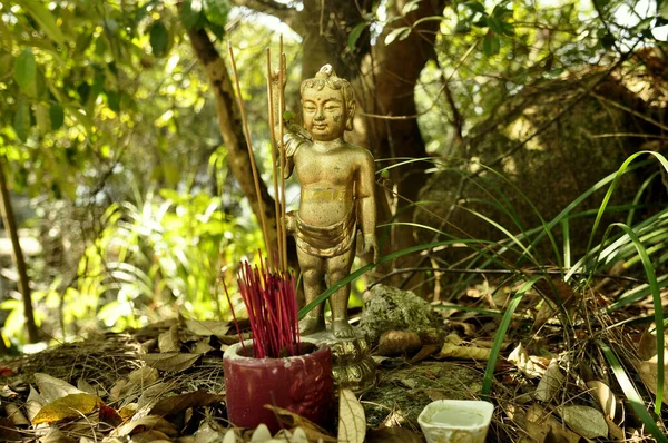 在去戴维山的路上 在丛林里 我们发现了这座临时神龛 里面几乎没有什么神像 当地人和徒步旅行者崇拜缪斯 — 图库照片