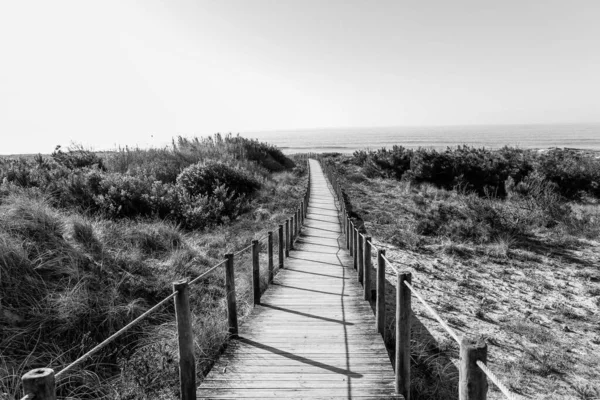 Grayscale Shot Wooden Path Sand Dunes Sea — Stock Photo, Image