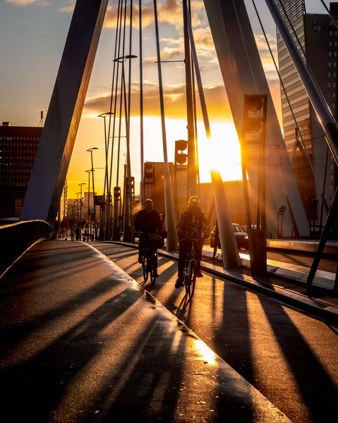 Rotterdam Nizozemsko Listopadu 2019 Časný Ranní Východ Slunce Rotterdamu Erasmusbrugu — Stock fotografie