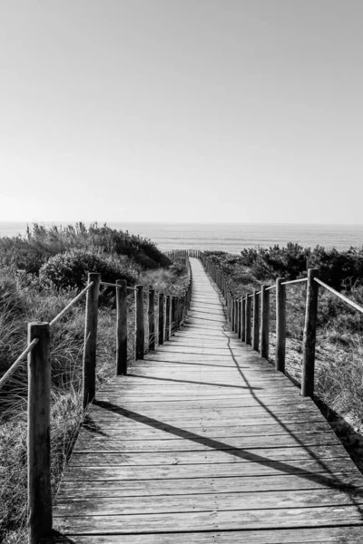 Grayscale Shot Wooden Path Sand Dunes Sea — Stock Photo, Image