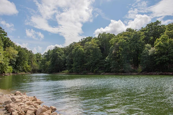 Primer Plano Río Rodeado Bosques — Foto de Stock