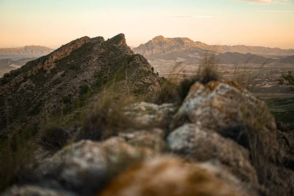 Schöne Aussicht Auf Mit Gras Und Bäumen Bewachsene Hügel Spanien — Stockfoto