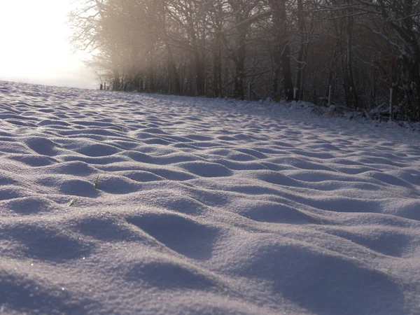 Snowfall Dryfuje Wiejskim Lesie Łące Nisko Szeroki Strzał — Zdjęcie stockowe