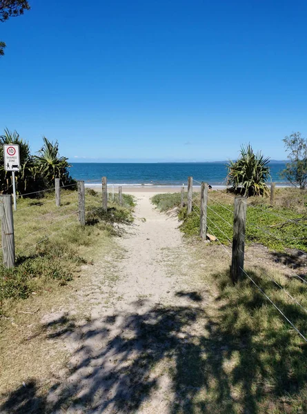 Вертикальний Знімок Стежки Пляжі Вурім Острові Брібі Австралія — стокове фото