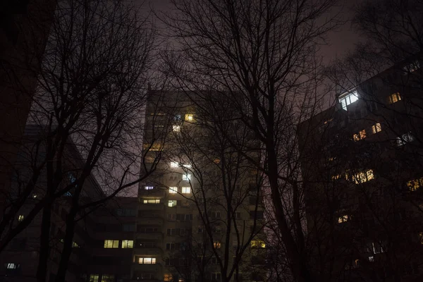 Uitzicht Kale Bomen Tegen Gebouwen Nachts — Stockfoto