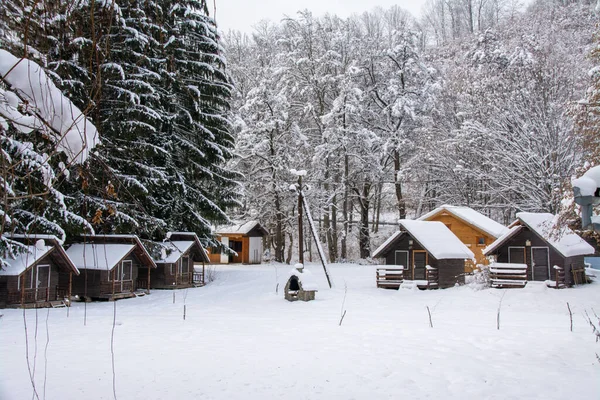 Sovata Romania Jan 2021 Landscape Wooden Cottages Winter — Stock Photo, Image