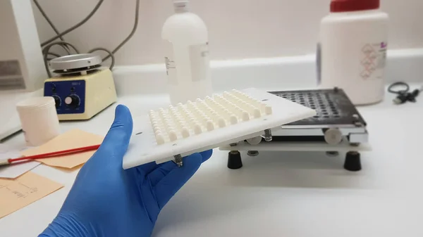 Eczane Laboratuarında Toz Ilaçlarıyla Kapsüller Yapan Bir Bilim Adamı — Stok fotoğraf
