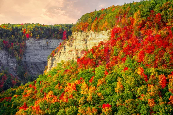 Блестящий Снимок Красочных Осенних Треков Утёсе Летчуорт Парке Нью Йорк — стоковое фото