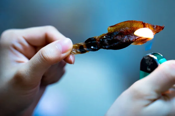 Tokio Japón Agosto 2020 Persona Tuesta Mano Calamar Seco Aperitivo —  Fotos de Stock