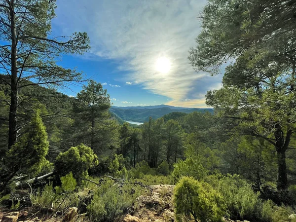 Hermoso Paisaje Con Árboles Verdes Lago Fondo —  Fotos de Stock