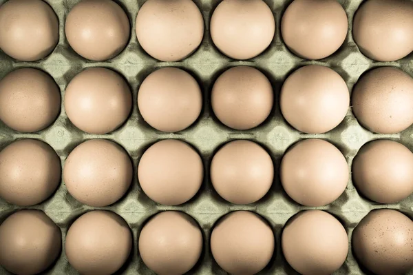 Вид Зверху Яйця Яєчному Лотку — стокове фото