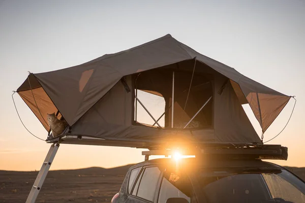 Autótetős Sátor Kempingezésre Egy Road Autó Tetőállványán Sivatagban Naplementekor — Stock Fotó
