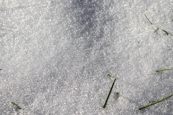 Uma Vista Superior Grama Verde Fresca Coberta Primeira Neve — Fotografia de Stock