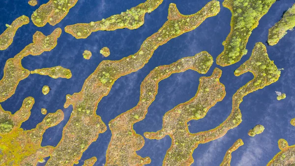 Bovenaanzicht Vanuit Lucht Het Complexe Patroon Van Veenmoerassen Tussenliggende Bergkammen — Stockfoto