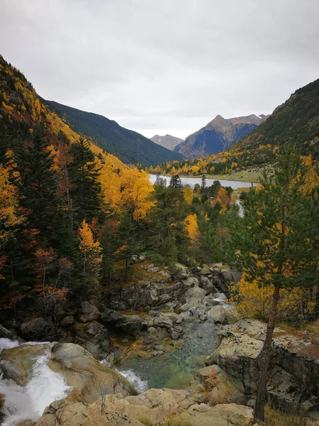 Une Vue Fascinante Sur Beau Paysage Automne Avec Des Feuilles — Photo