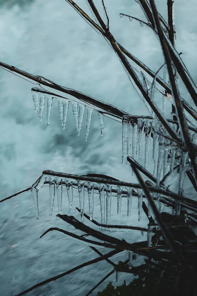 Eine Vertikale Nahaufnahme Von Eiszapfen Auf Einem Baum — Stockfoto