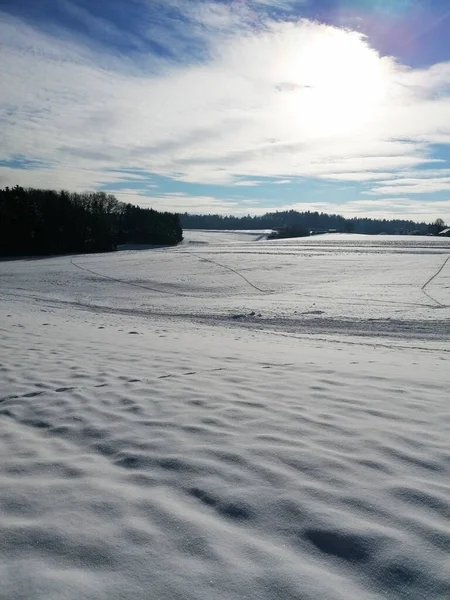 Vertical Shot Snow Covered Field Forest Cloudy Sky — Stockfoto