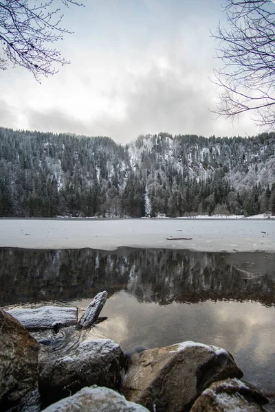 Tiro Vertical Reflexão Lago Perto Floresta Negra Feldsee Alemanha — Fotografia de Stock