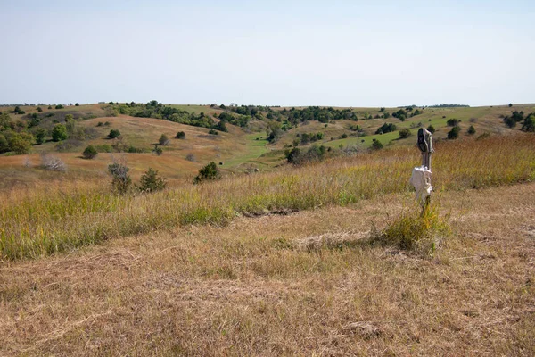 Closeup Shot Natural Landscape Clear Sky — Stock Photo, Image