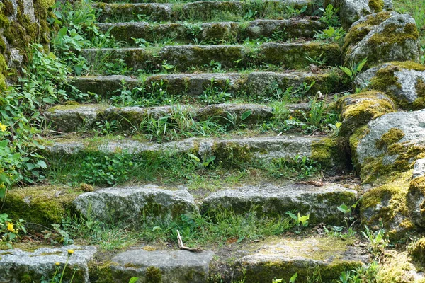 Primer Plano Unas Escaleras Piedra Cubiertas Plantas Verdes —  Fotos de Stock