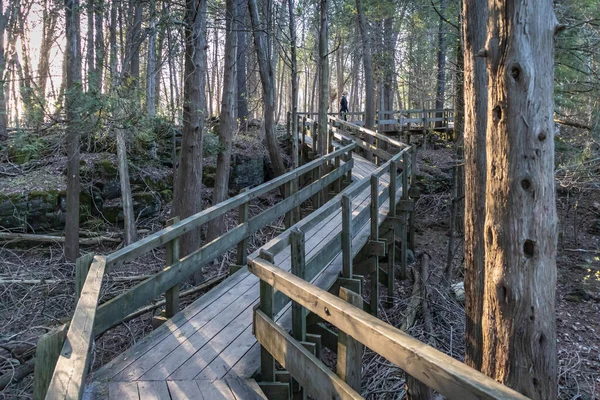 Distanzierte Frau Geht Auf Eckigem Promenadenweg Crawford Lake Conservation Area — Stockfoto