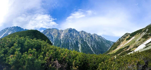 Ein Malerisches Waldgebiet Hintergrund Der Gebirgslandschaft Der Nationalpark Tatra Polen — Stockfoto