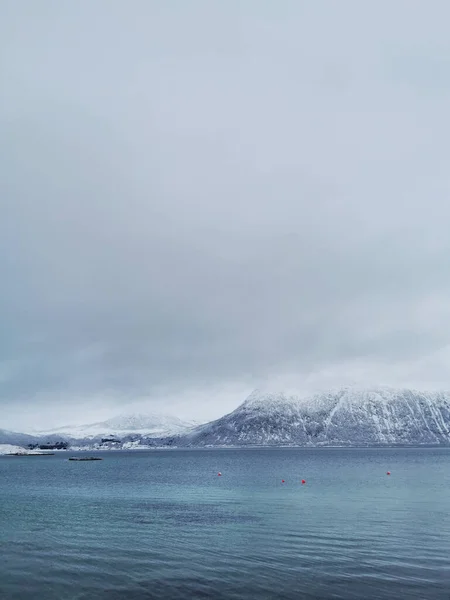 Plano Vertical Del Invierno Región Ártica Hillesoy Isla Kvaloya Tromso —  Fotos de Stock