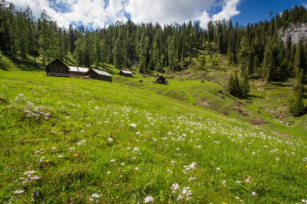 オーストリアの静かな丘の上の美しい山小屋 — ストック写真