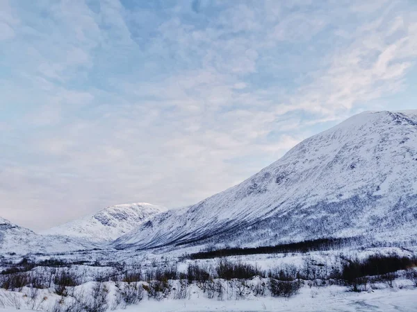 Una Hermosa Foto Del Invierno Región Ártica Isla Kvaloya Tromso — Foto de Stock