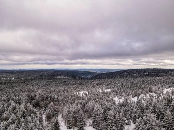 Bulutlu Bir Gökyüzünün Altında Karlı Bir Orman Manzarası — Stok fotoğraf
