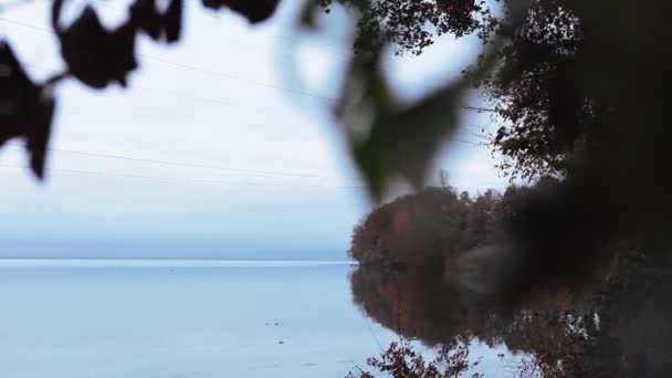 Een Rustig Reflecterend Zeeoppervlak Met Kleurrijke Herfstbomen Aan Kustlijn — Stockvideo